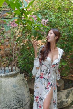 顶楼的大象电影